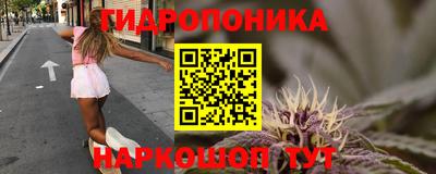 стафф Пыть-Ях